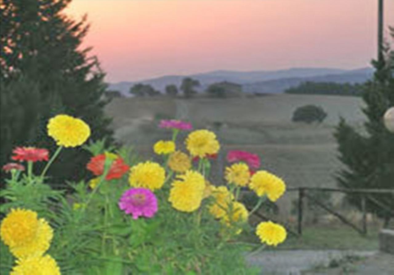 Wine Resort Colsereno Montalcino Luaran gambar