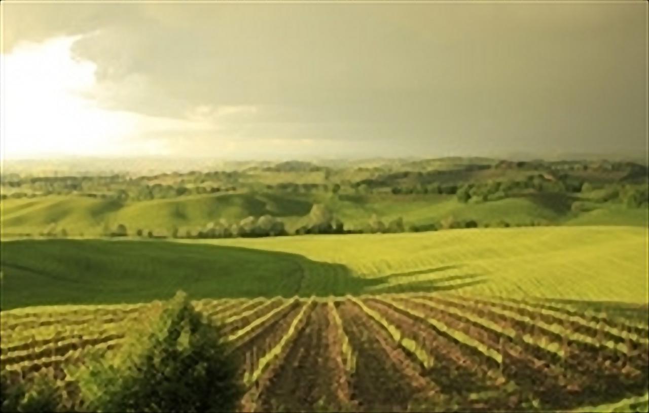 Wine Resort Colsereno Montalcino Luaran gambar