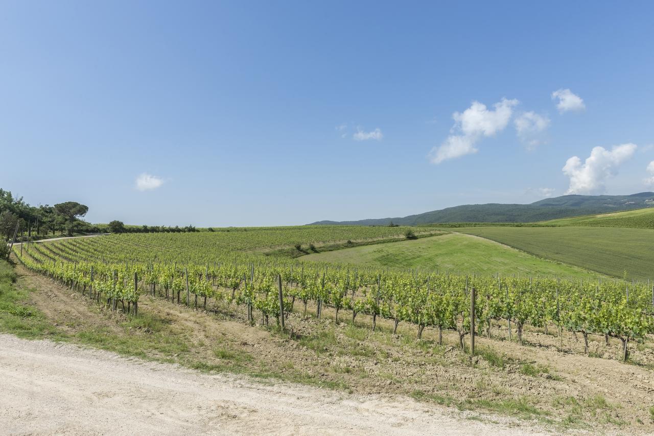 Wine Resort Colsereno Montalcino Luaran gambar